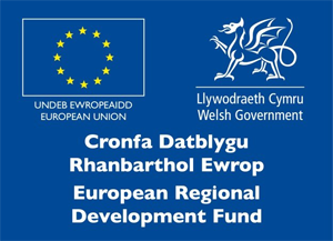 Logo - Cronfa Datblygu Rhanbarthol Ewrop